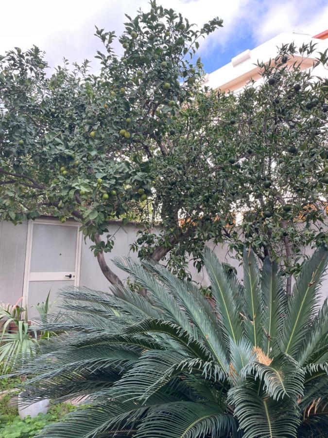 Apartament Tangerine Tree House Cagliari Zewnętrze zdjęcie
