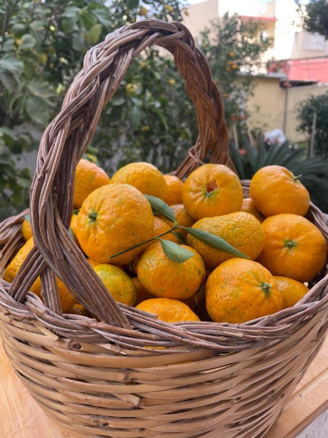 Apartament Tangerine Tree House Cagliari Zewnętrze zdjęcie