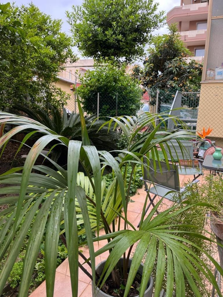 Apartament Tangerine Tree House Cagliari Zewnętrze zdjęcie